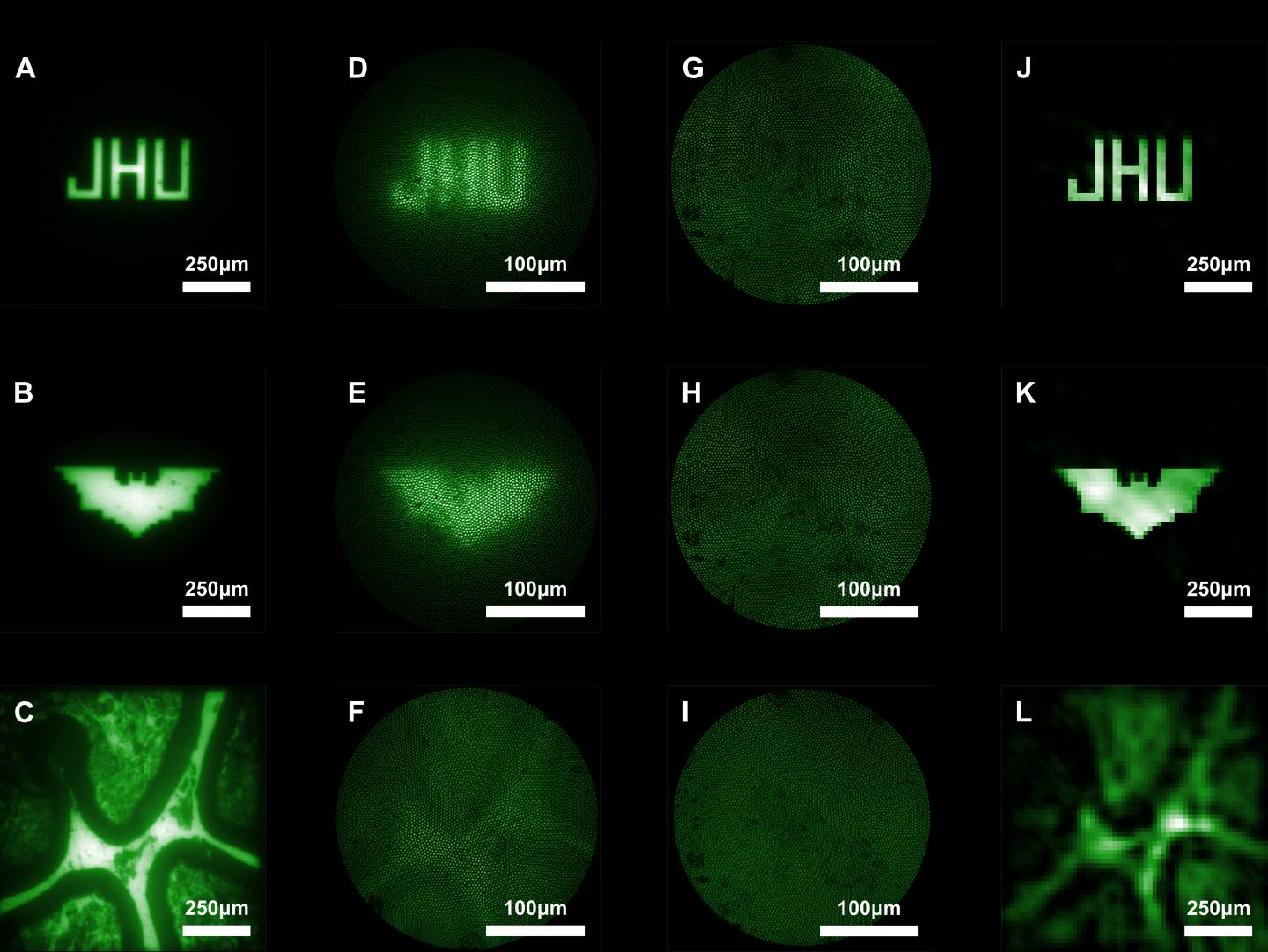 Johns Hopkins Team Develops Ultra miniaturised Endoscope The Engineer 
