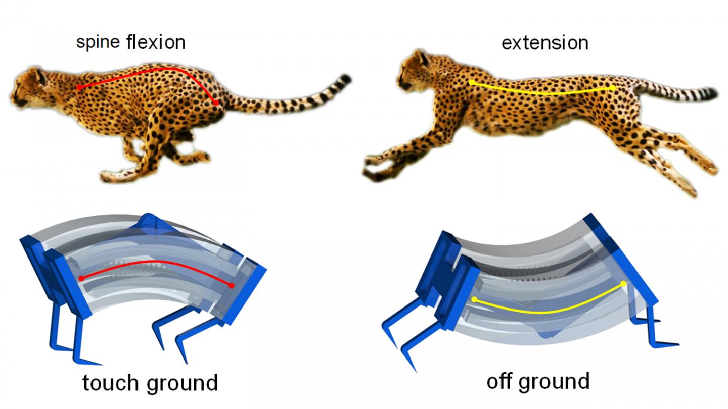 Cheetahs inspire LEAP in development of soft robotics | The Engineer The  Engineer