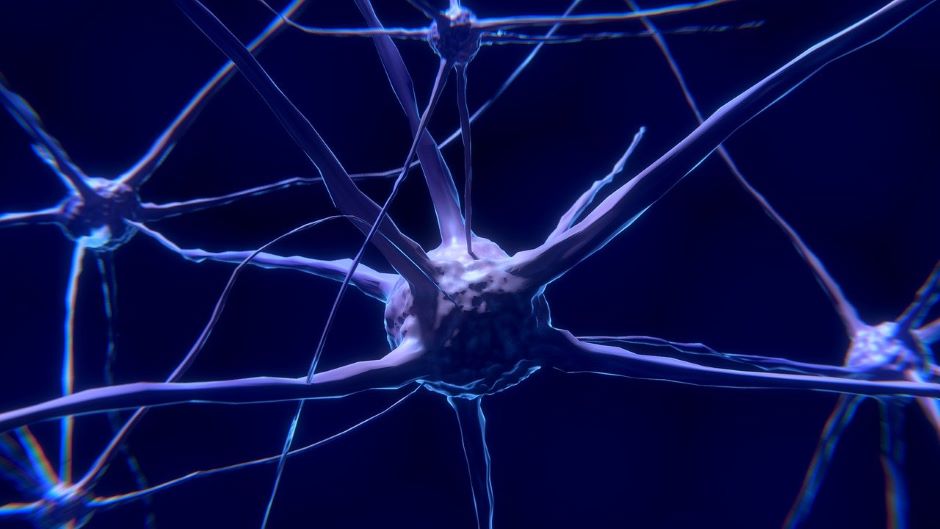 New photonic tools will delve deeper into the brain - Vimarsana News