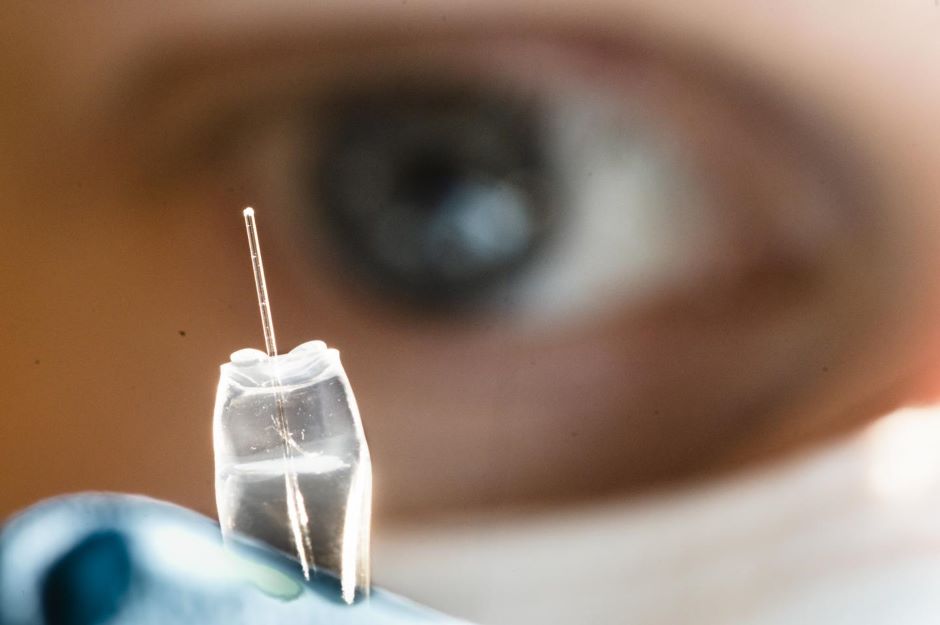 Ion pump shows potential to treat brain tumours - Vimarsana News