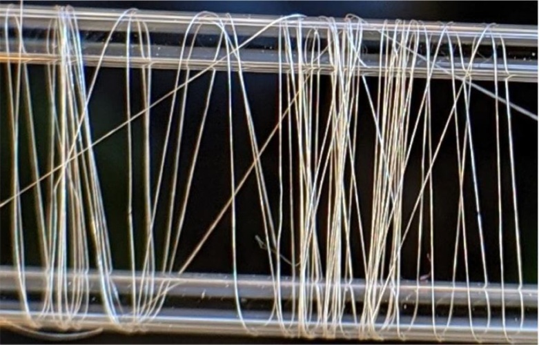Polymeric amyloid fibre