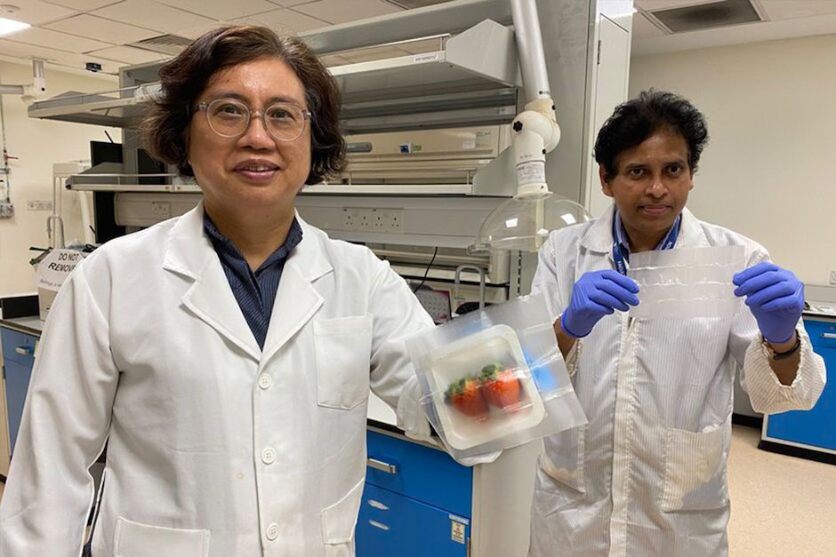 'Smart' food packaging keeps fruit fresh | The Engineer The Engineer - Vimarsana News