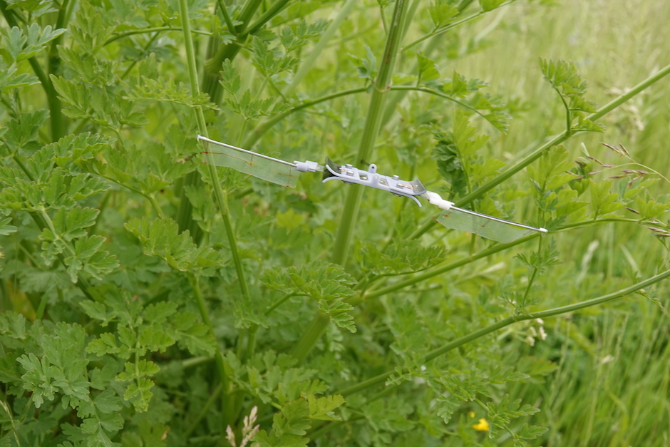 LAZA system paves way for insect-sized flying robots - Vimarsana News