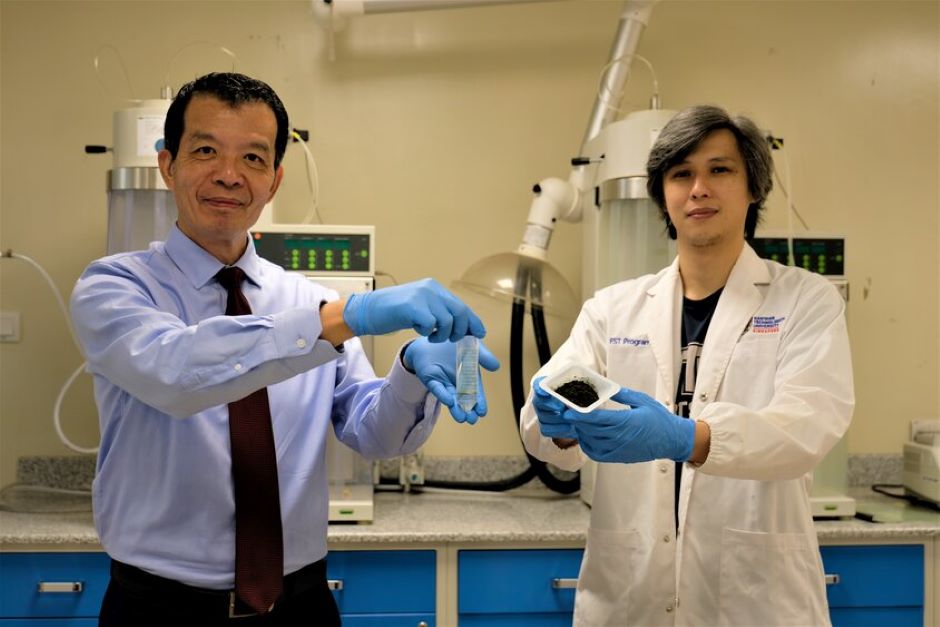 Microalgae produces alternative to palm oil - Vimarsana News